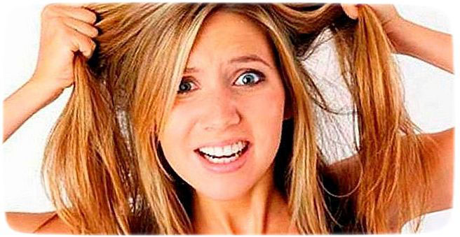 Быстро жирнеют волосы: что можно сделать в домашних условиях | EVA Blog